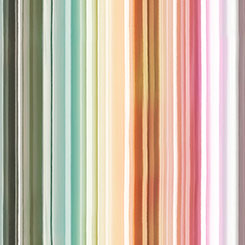 Synergy-Stripe-Multi
