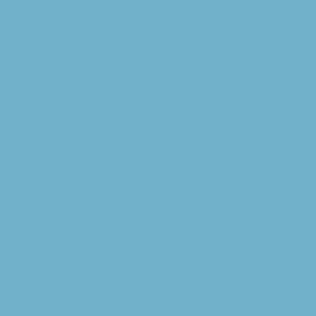Feather (Flannel) - Feather (Flannel) - Turquoise
