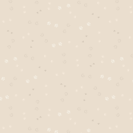 Pitter Patter - Pitter Patter - Champagne